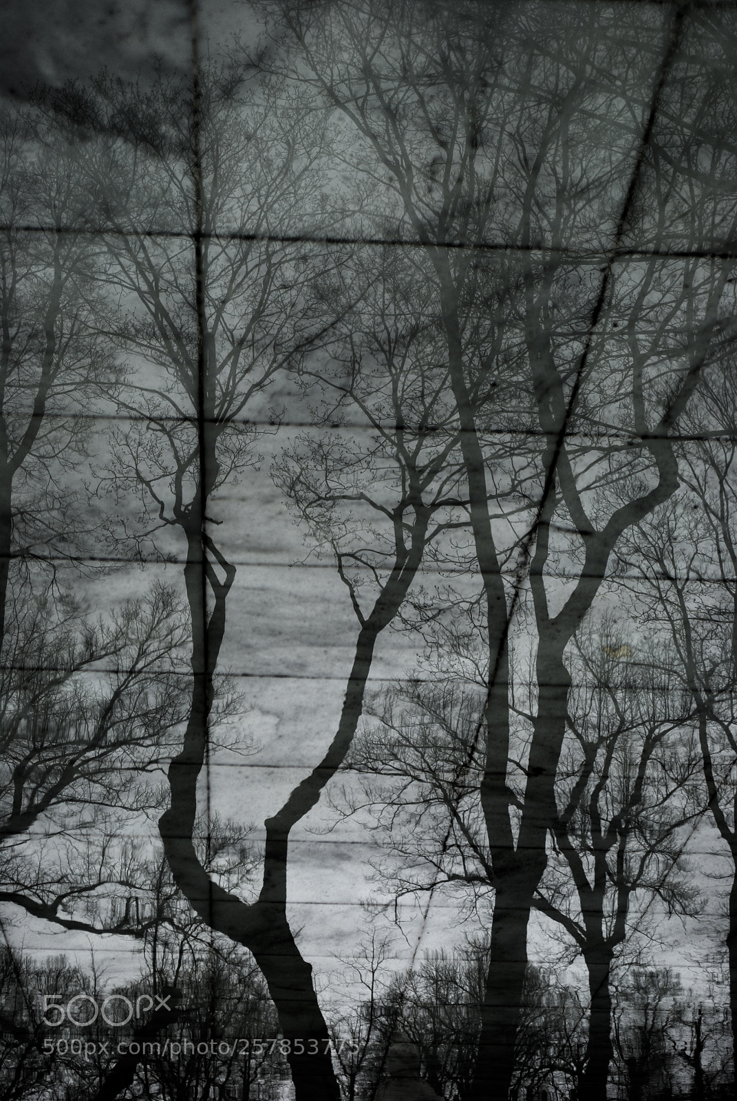 Nikon D3000 sample photo. In the matrix photography