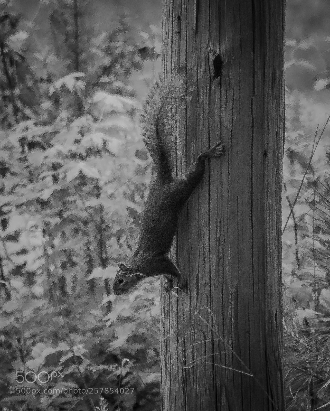 Nikon D7000 sample photo. Untitled photography
