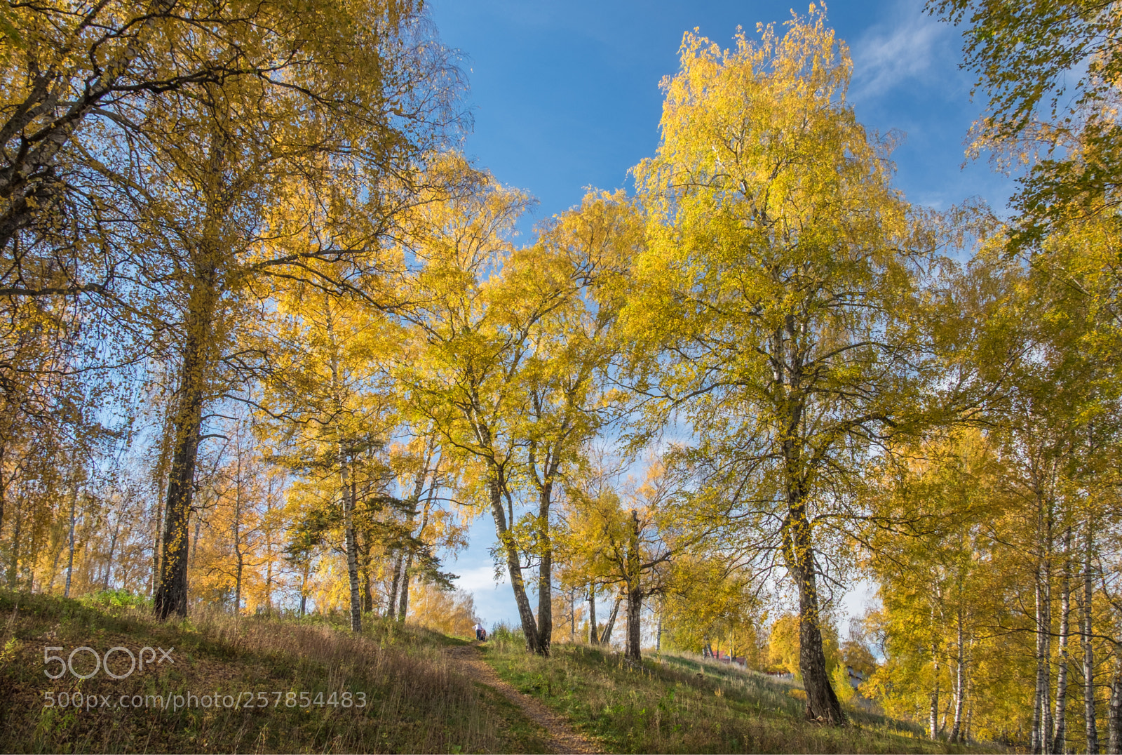 Fujifilm X-T1 sample photo. Kostroma photography