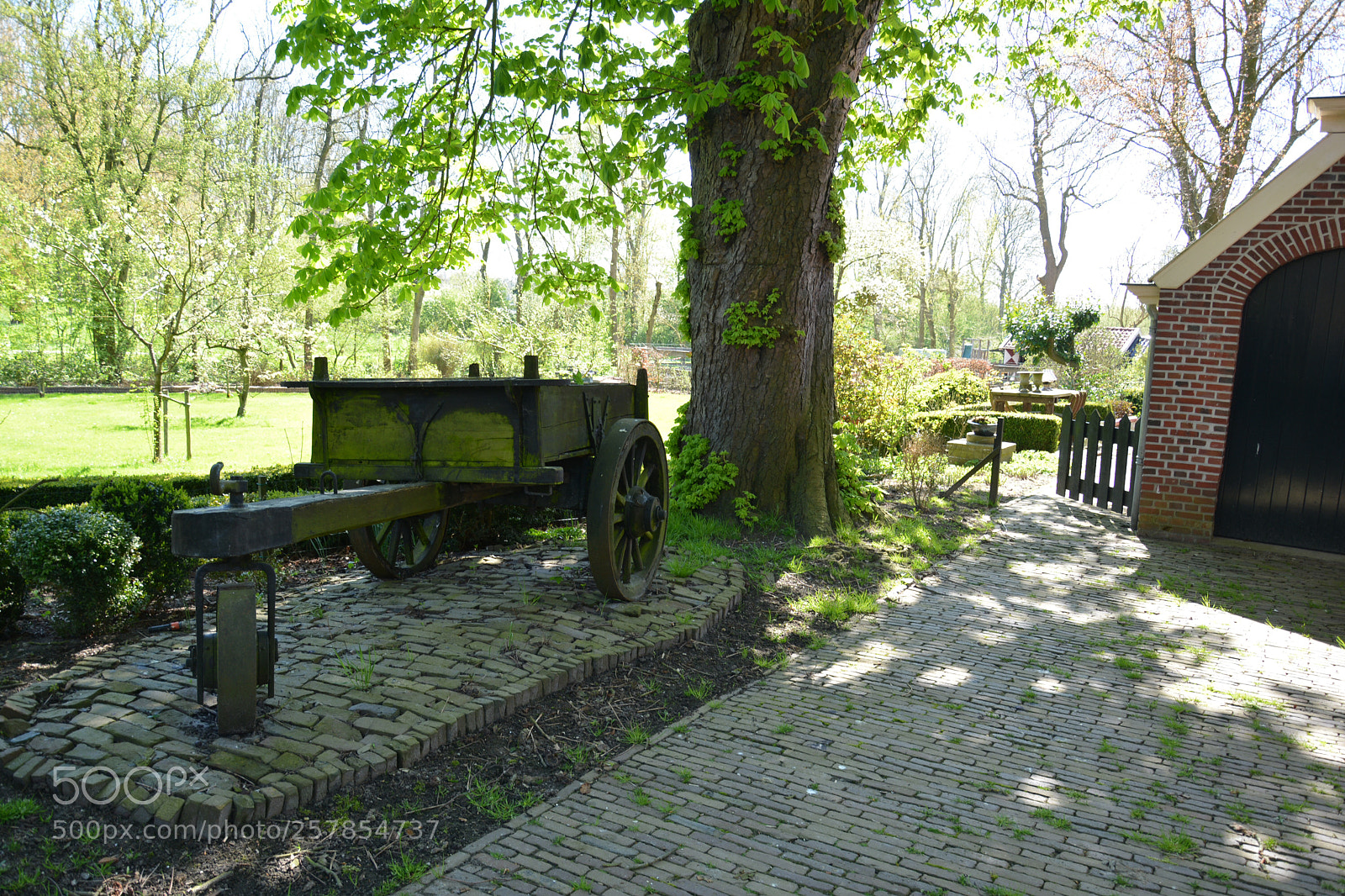 Nikon D5200 sample photo. Untitled photography