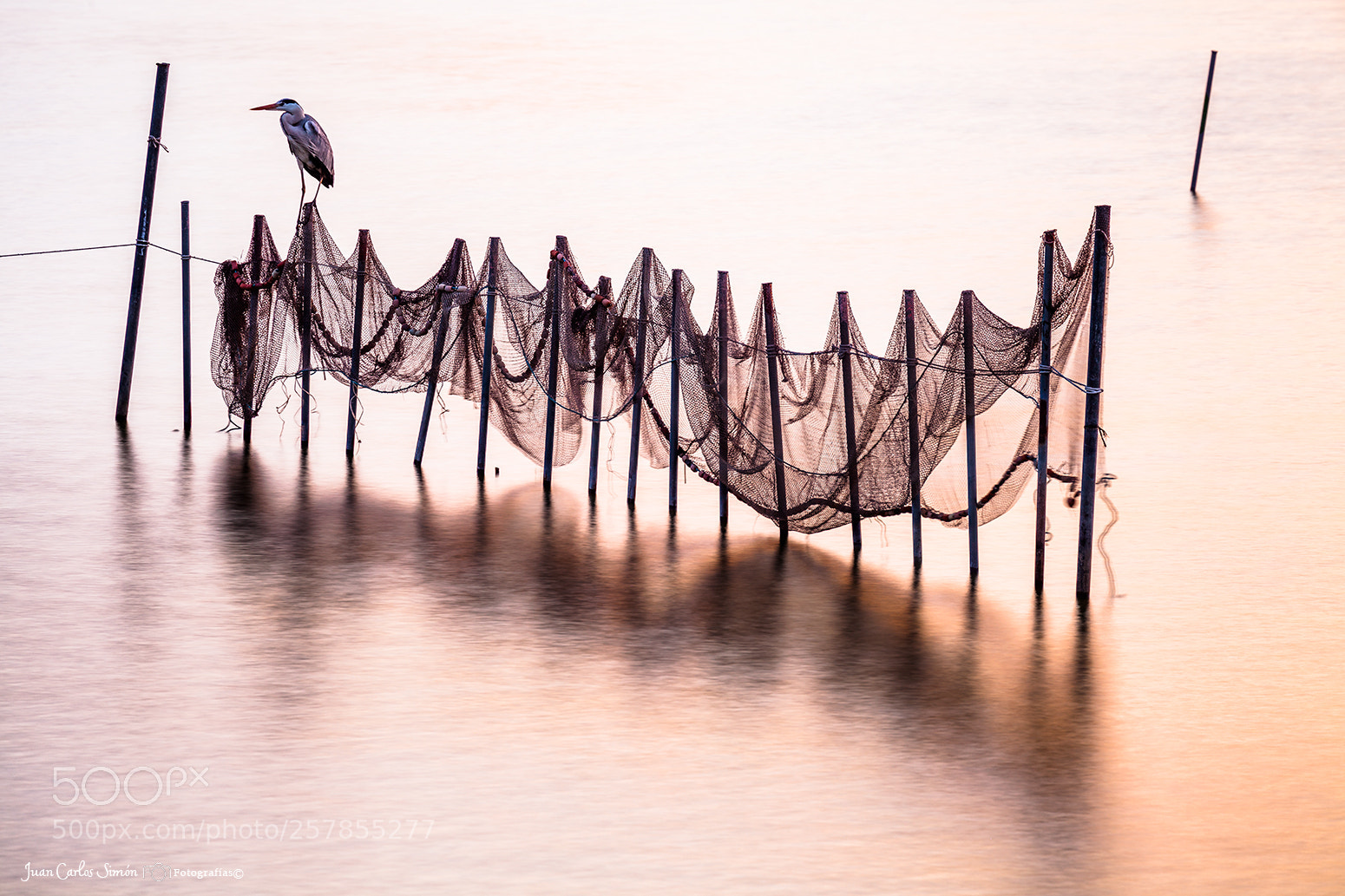 Canon EOS 5D Mark II sample photo. Resting at the end photography
