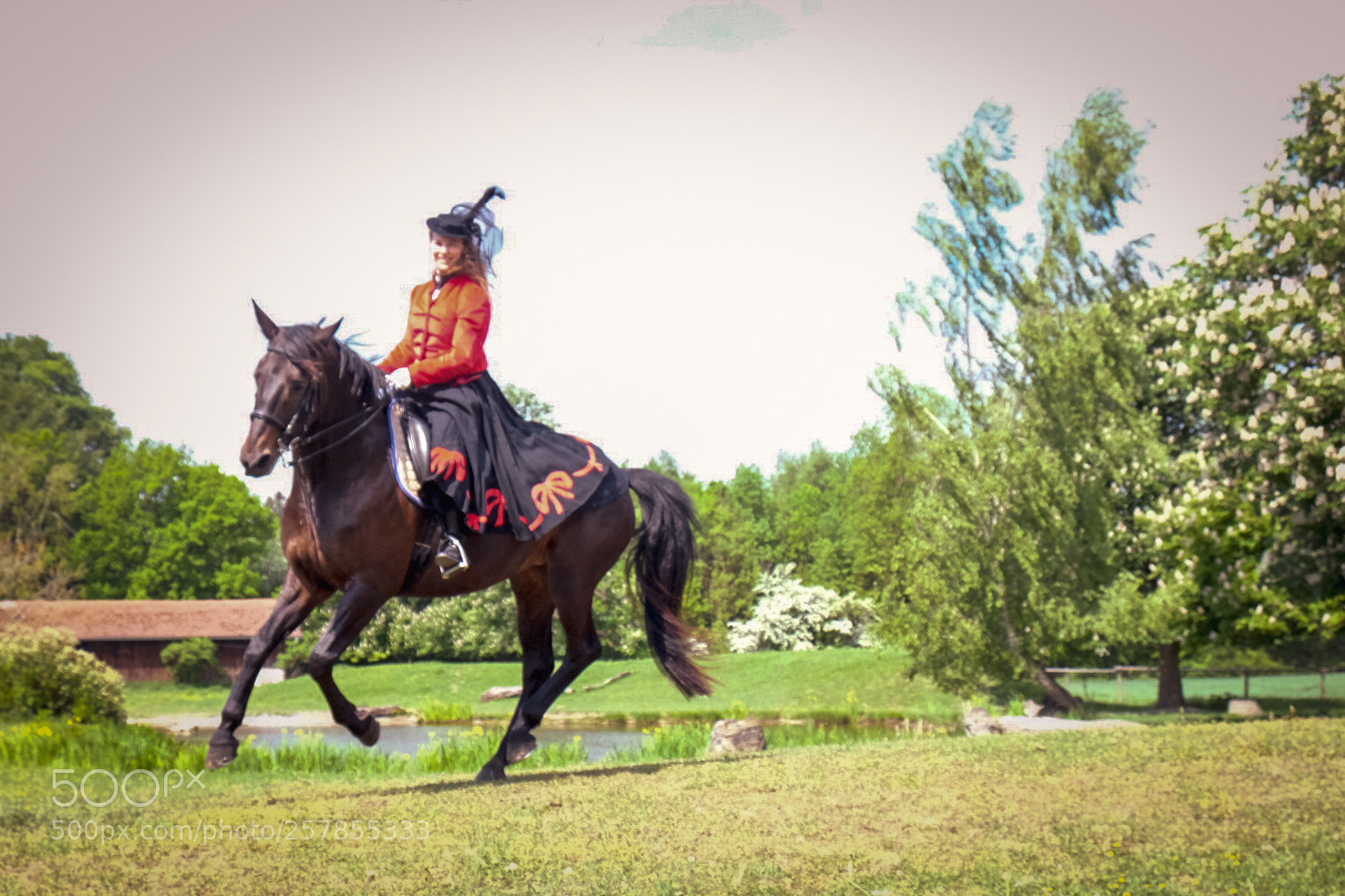 Fujifilm X-T1 sample photo. Barock gallop photography
