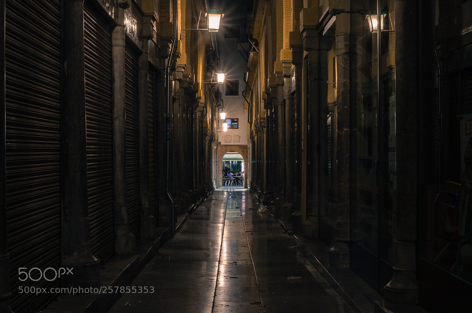 Sony SLT-A37 sample photo. Tranquility alley photography