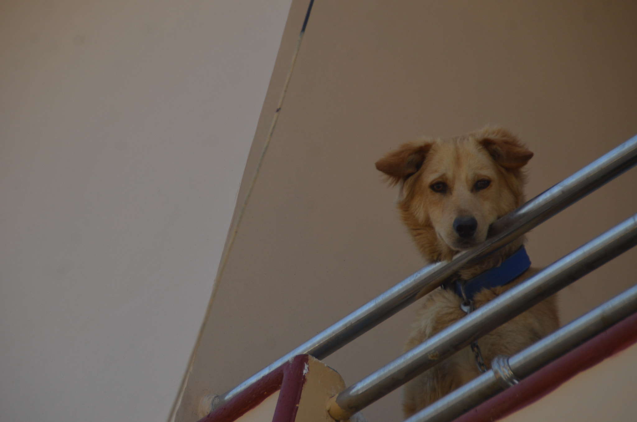 Nikon D7000 sample photo