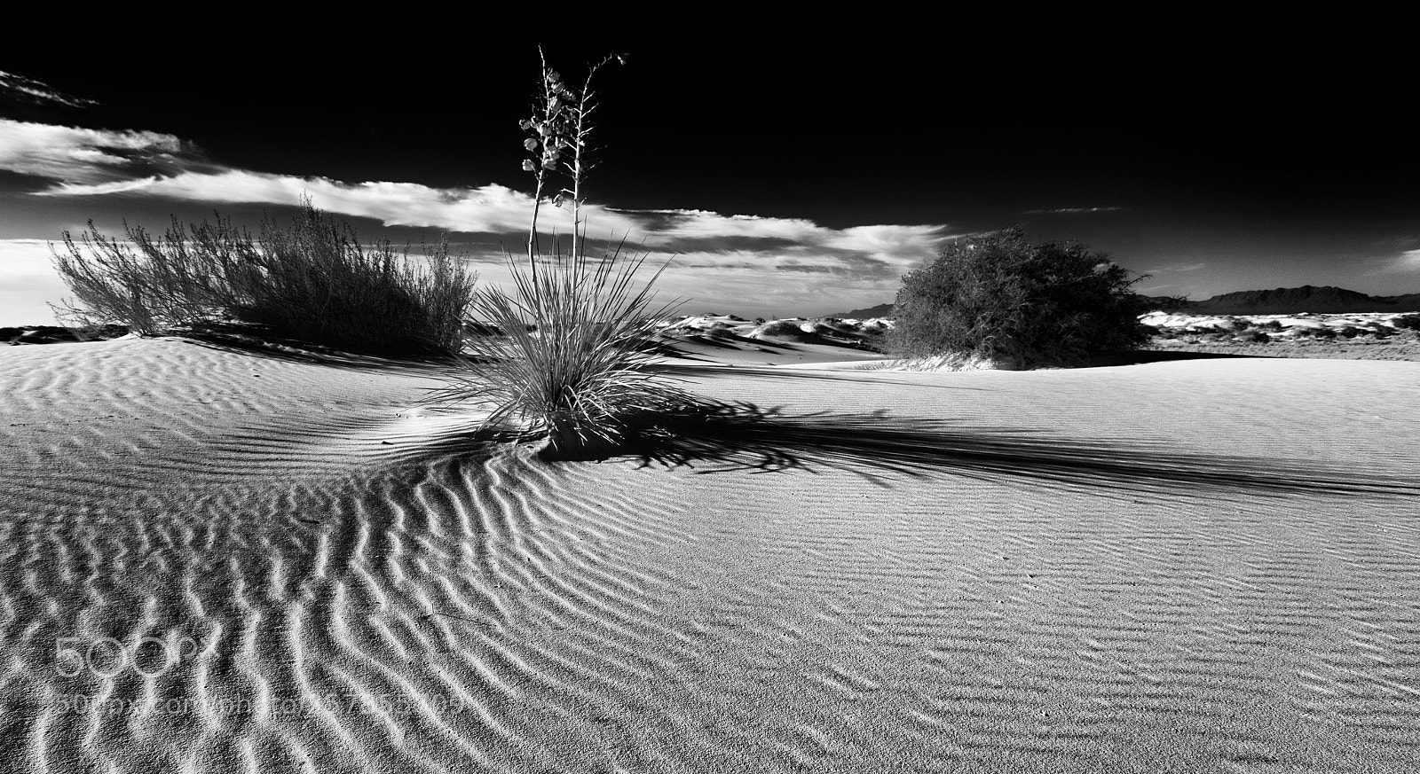 Canon EOS 5D Mark II sample photo. White sands dawn photography