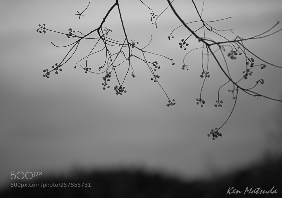 Canon EOS 5D Mark IV sample photo. Illusion photography