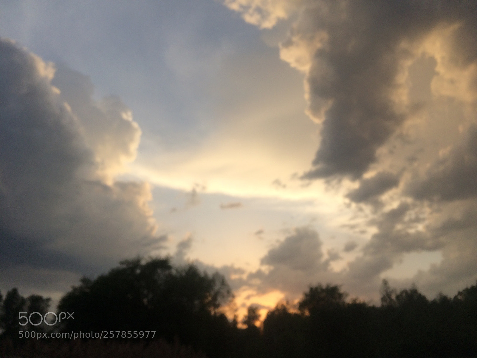 Apple iPhone 5s sample photo. Untitled photography