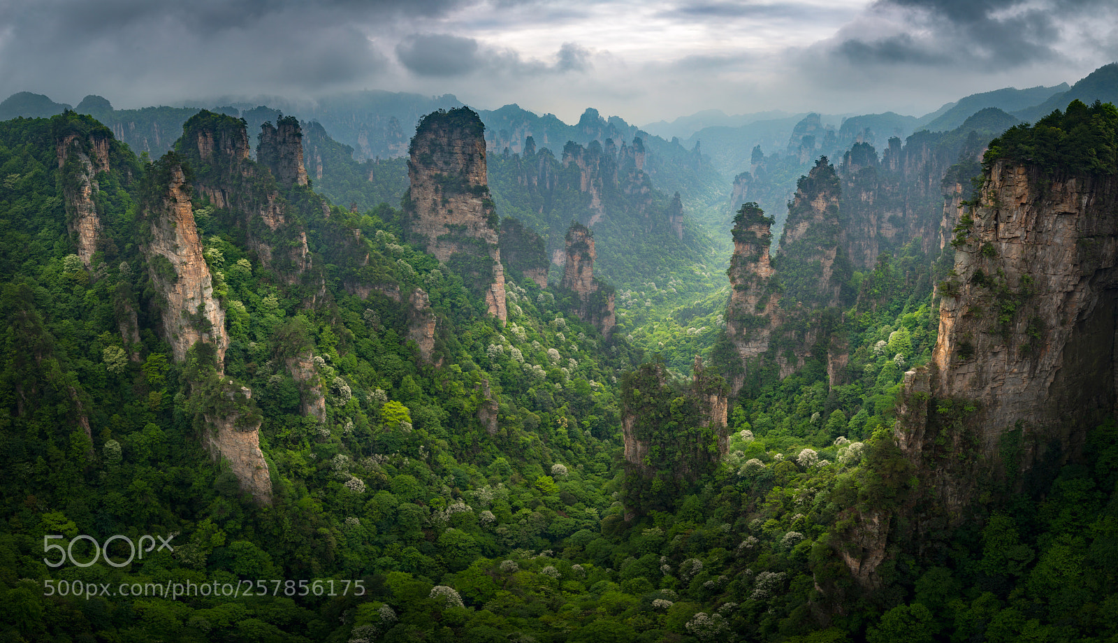 Canon EOS 6D sample photo. Tianzi mountain photography