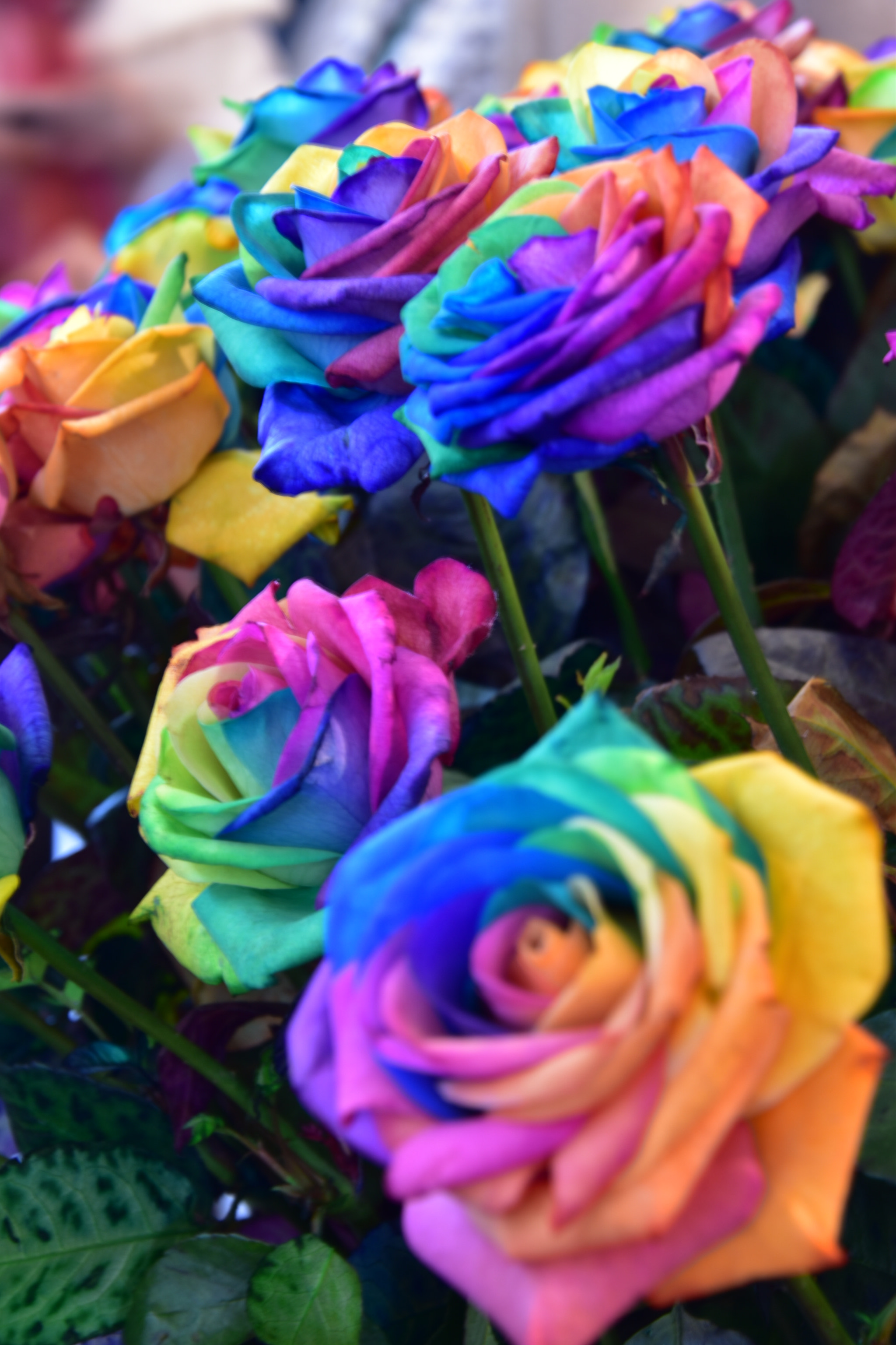 Nikon D5500 sample photo. De la couleur photography