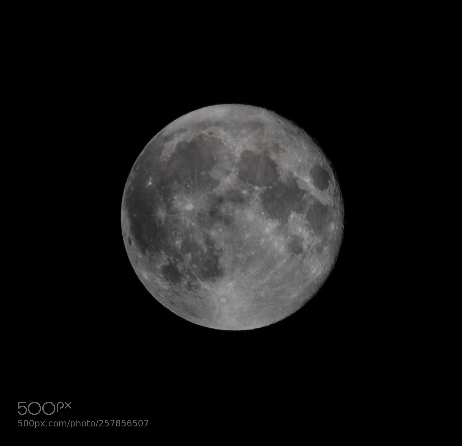 Nikon D5300 sample photo. Der mond photography