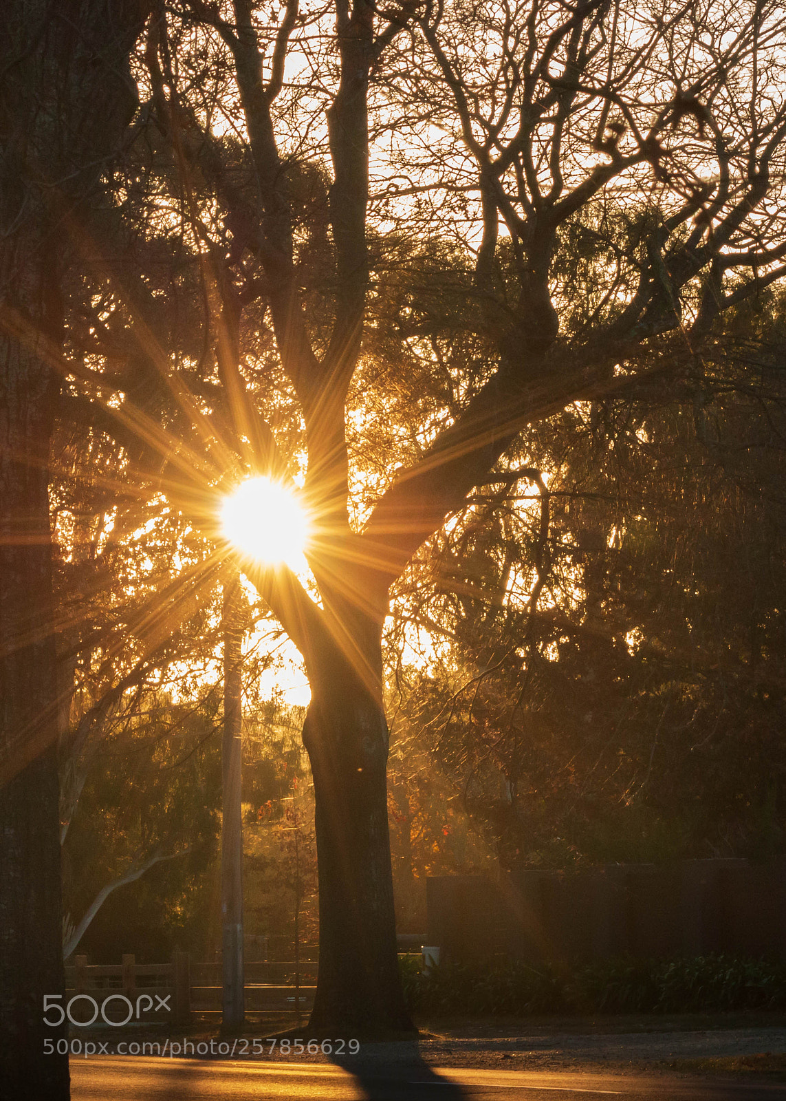 Canon EOS 70D sample photo. Aeao photography