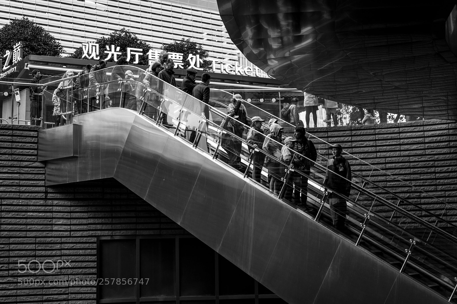 Sony a7 II sample photo. Dsc photography