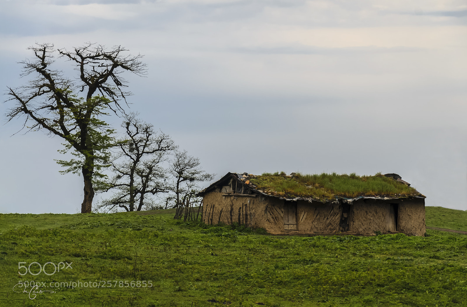 Nikon D7000 sample photo. Dalkhani photography
