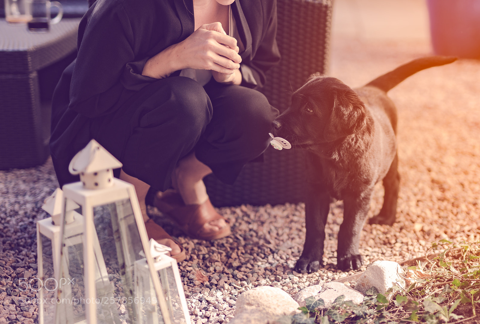 Sony a7 II sample photo. Small talk photography