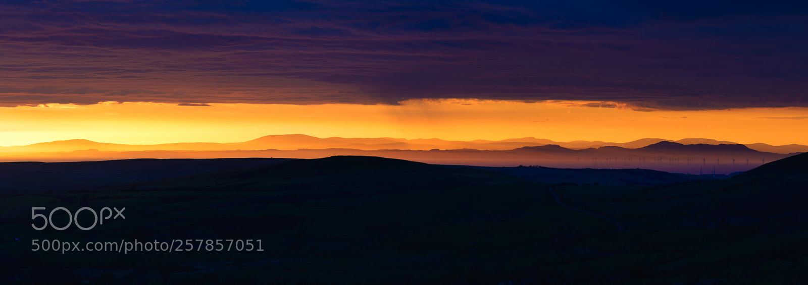 Nikon D610 sample photo. Golden galloway photography