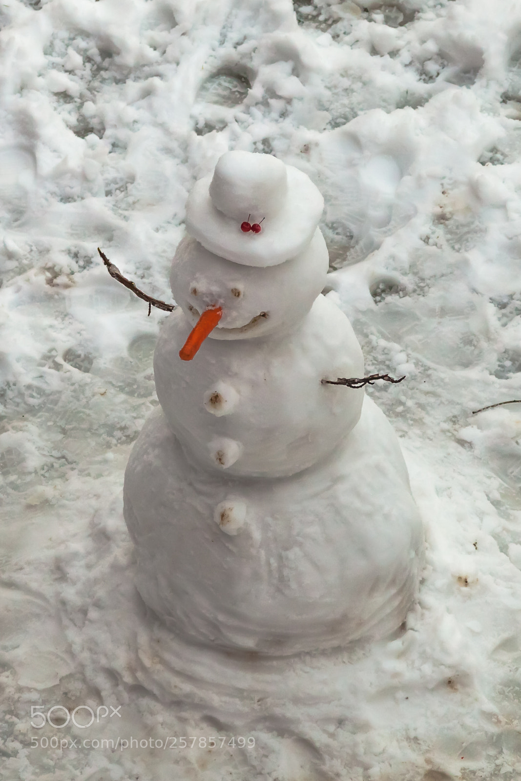Canon EOS 5D Mark II sample photo. Snowman photography