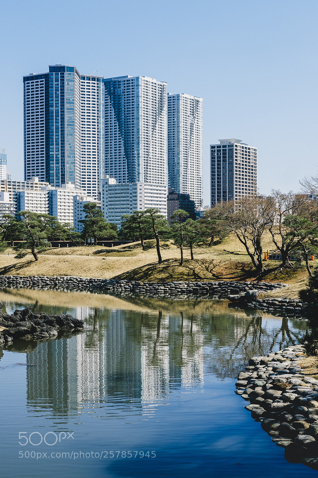 Fujifilm X-Pro2 sample photo. Dscf photography