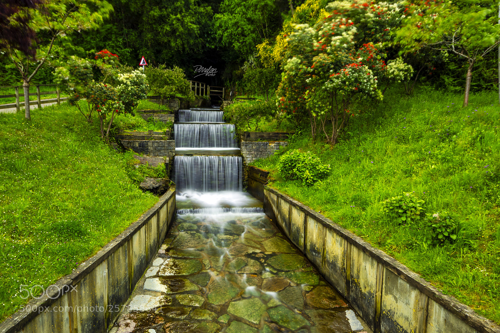 Sony SLT-A68 sample photo. Llega la vida photography