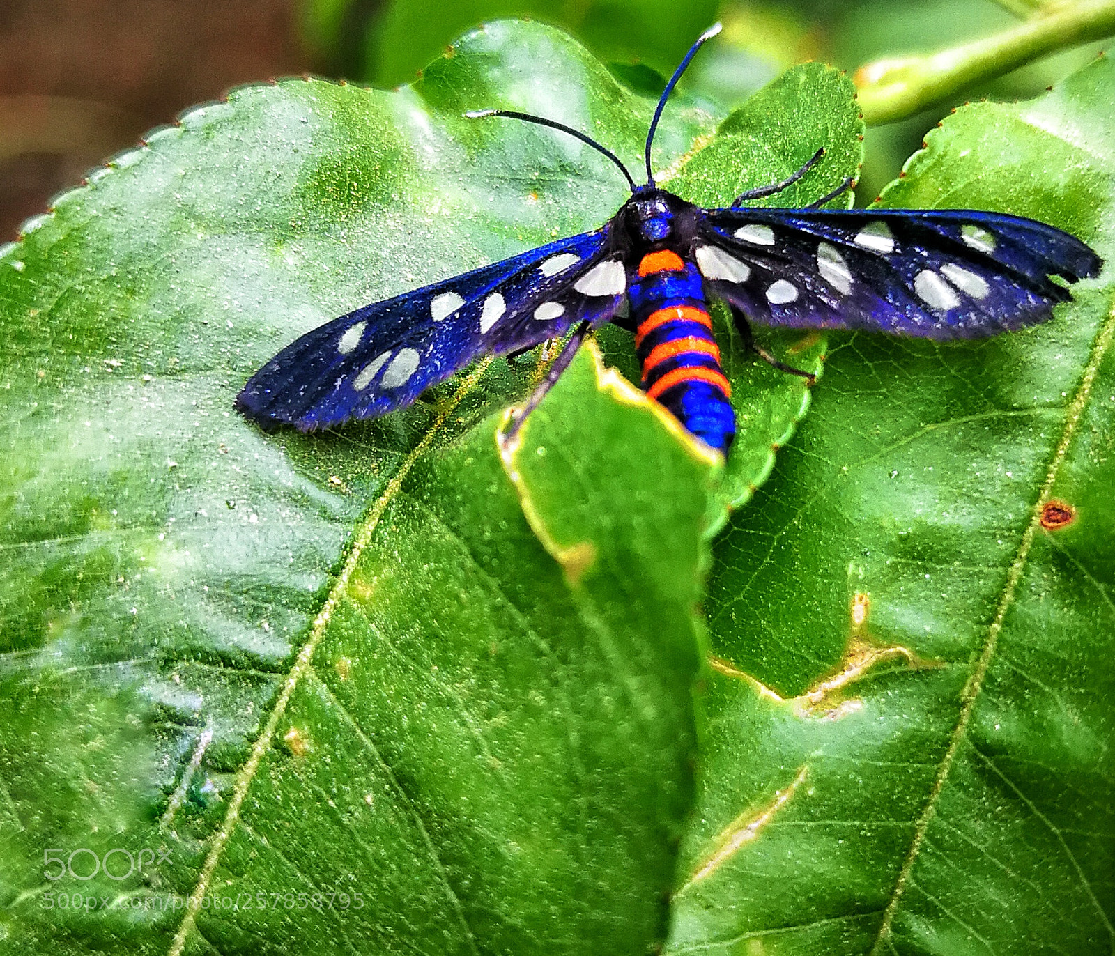 HUAWEI P10 Plus sample photo. Untitled photography