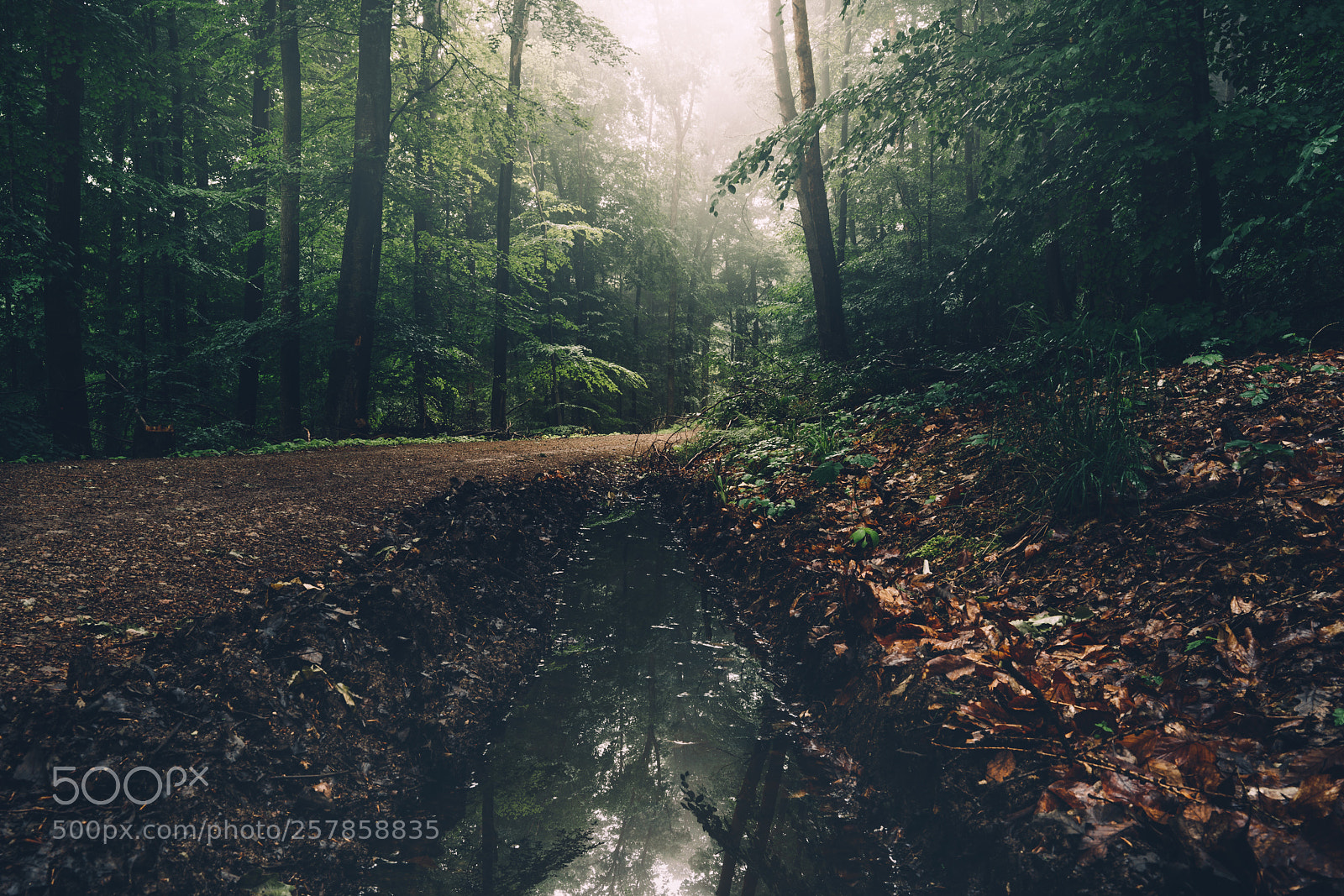 Sony a7R II sample photo. Reflection photography