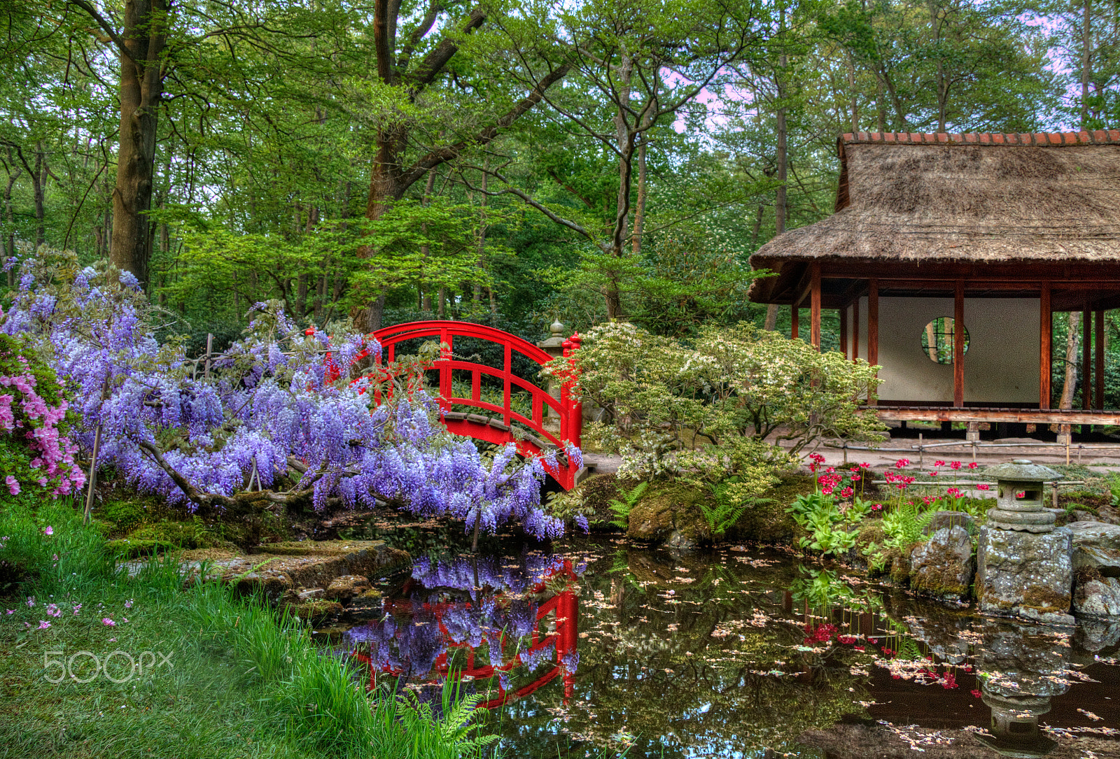Canon EOS 70D + Canon EF-S 17-85mm F4-5.6 IS USM sample photo. Japanese garden photography