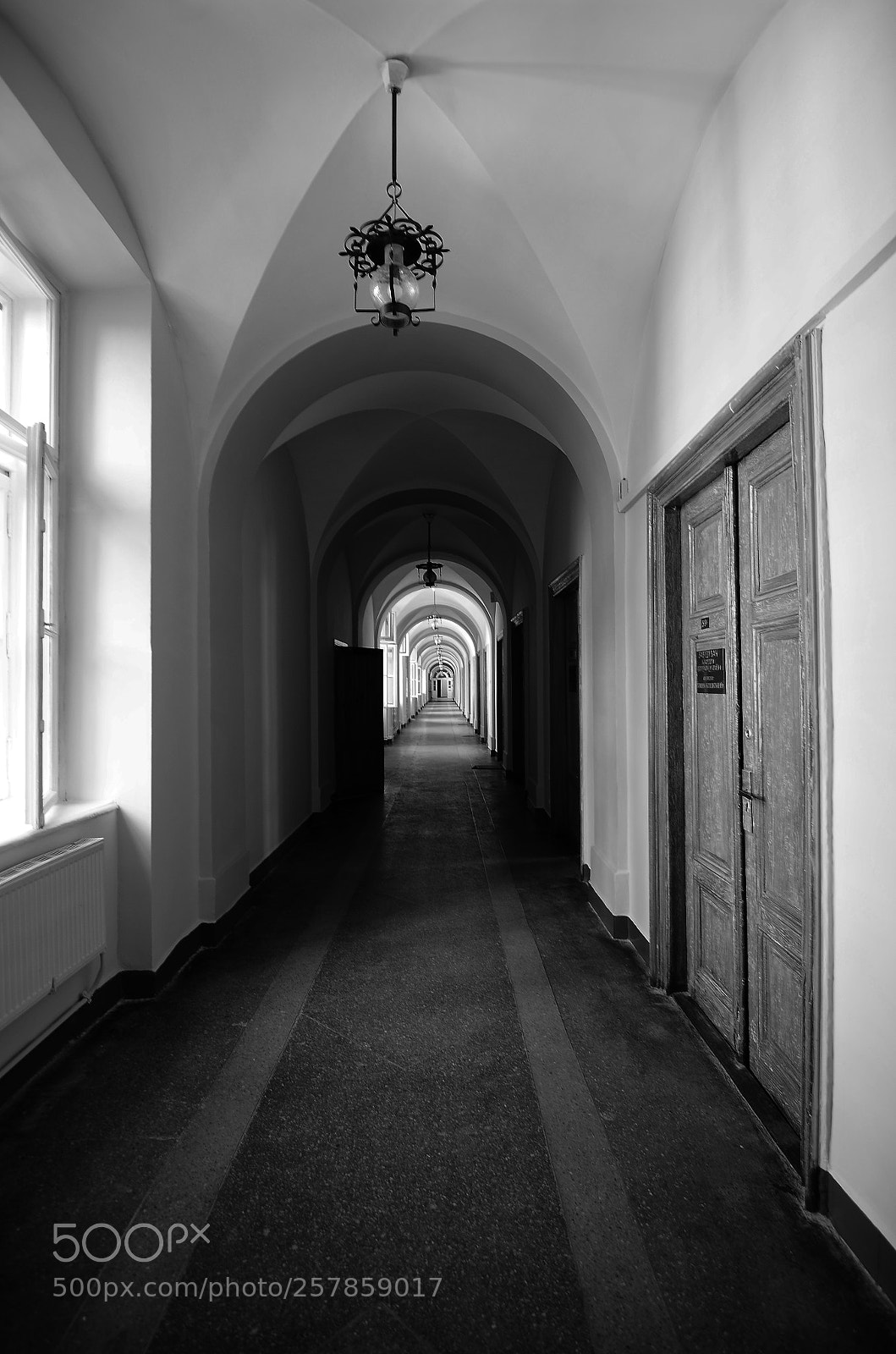 Nikon D7000 sample photo. After lessons photography