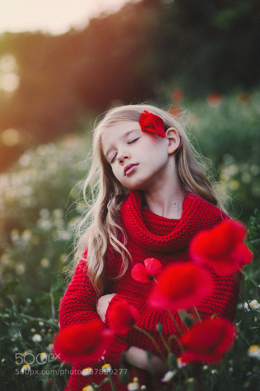 Canon EOS 6D sample photo. Poppies ii photography