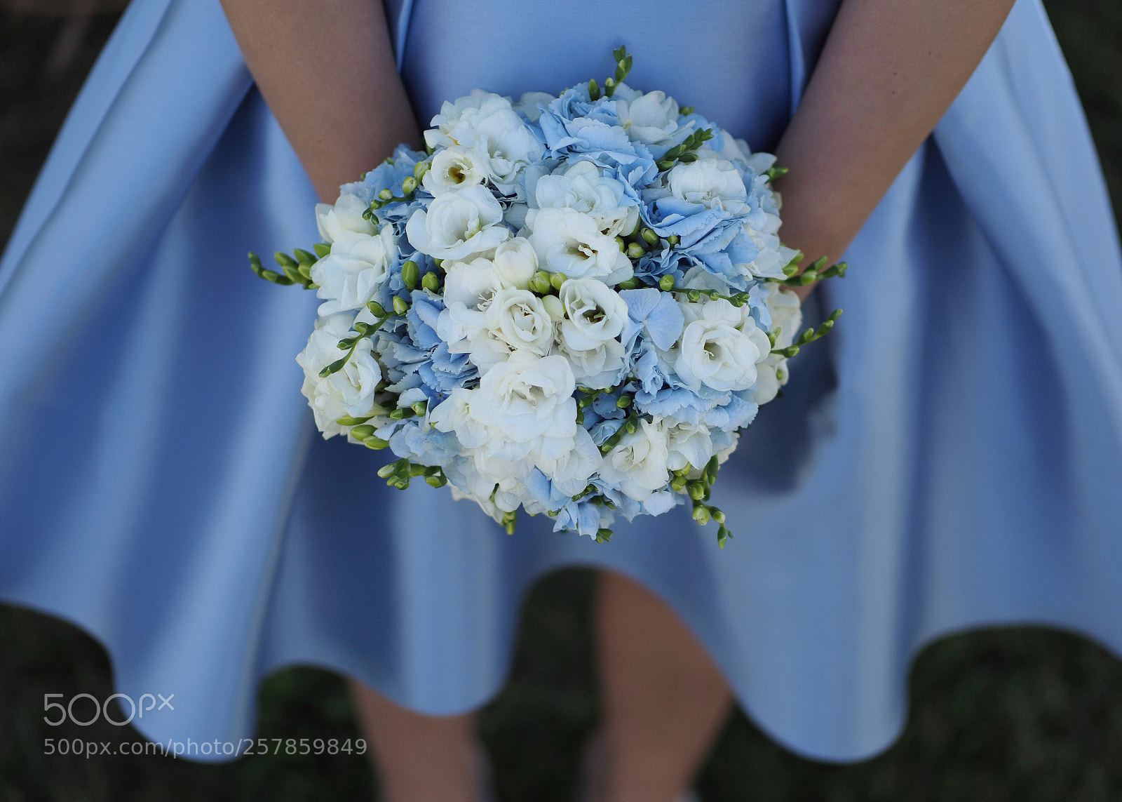 Olympus OM-D E-M1 Mark II sample photo. Bouquet photography
