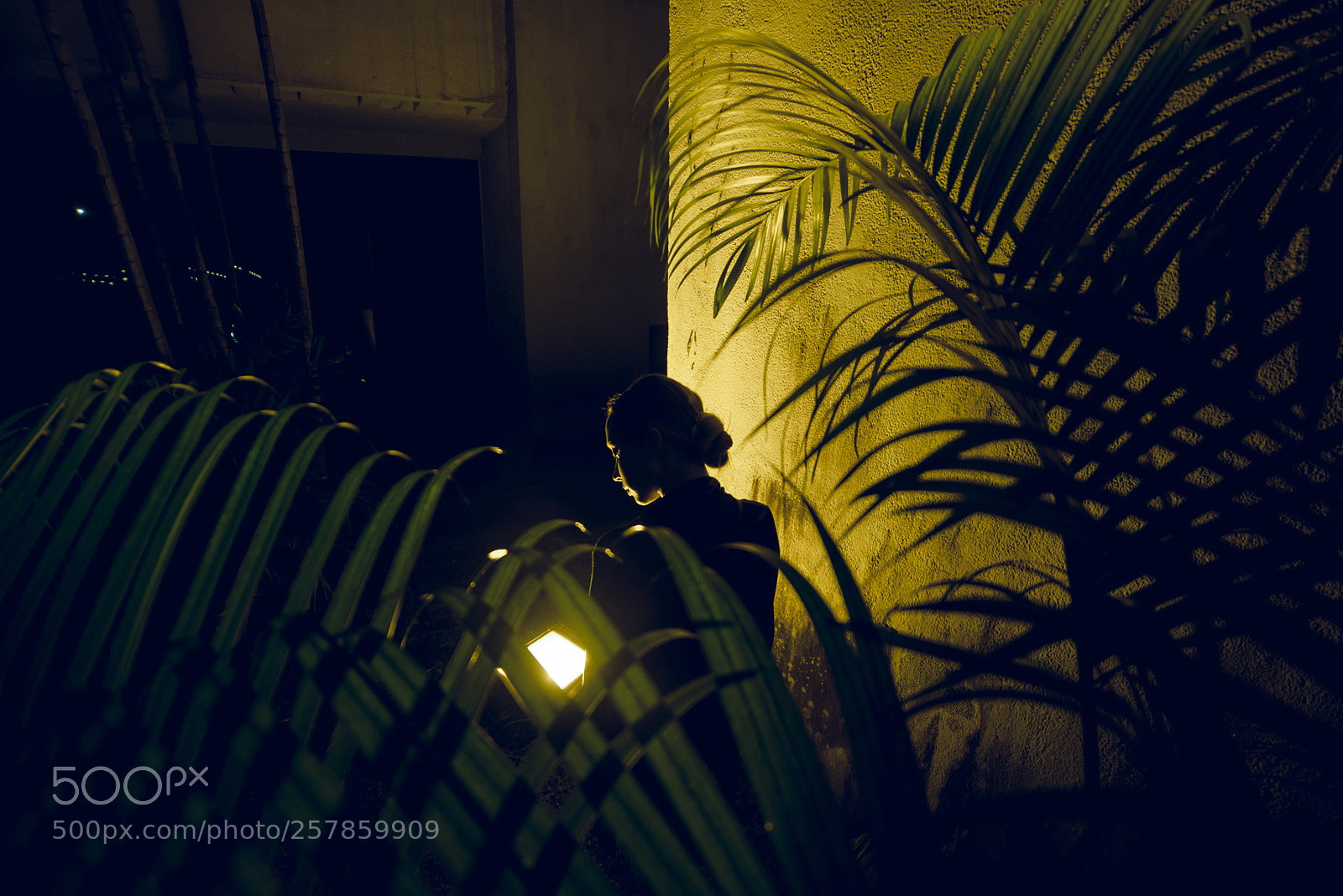 Nikon D610 sample photo. Silence photography