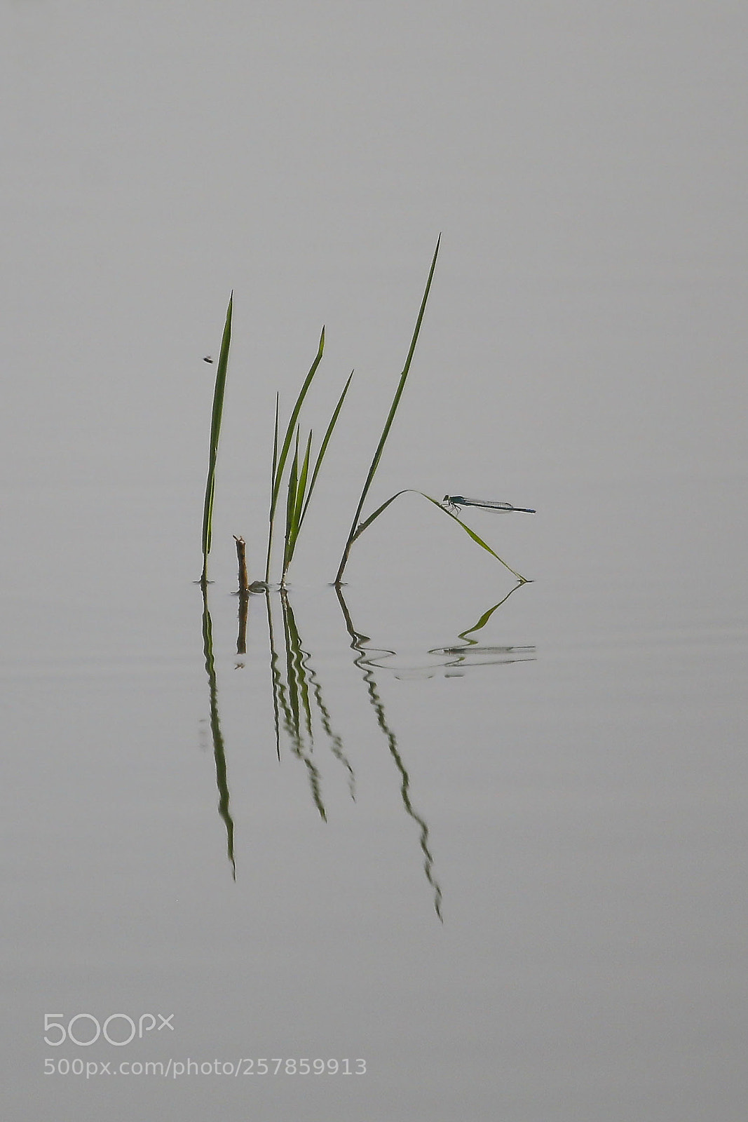 Canon EOS 6D sample photo. 单色调 photography