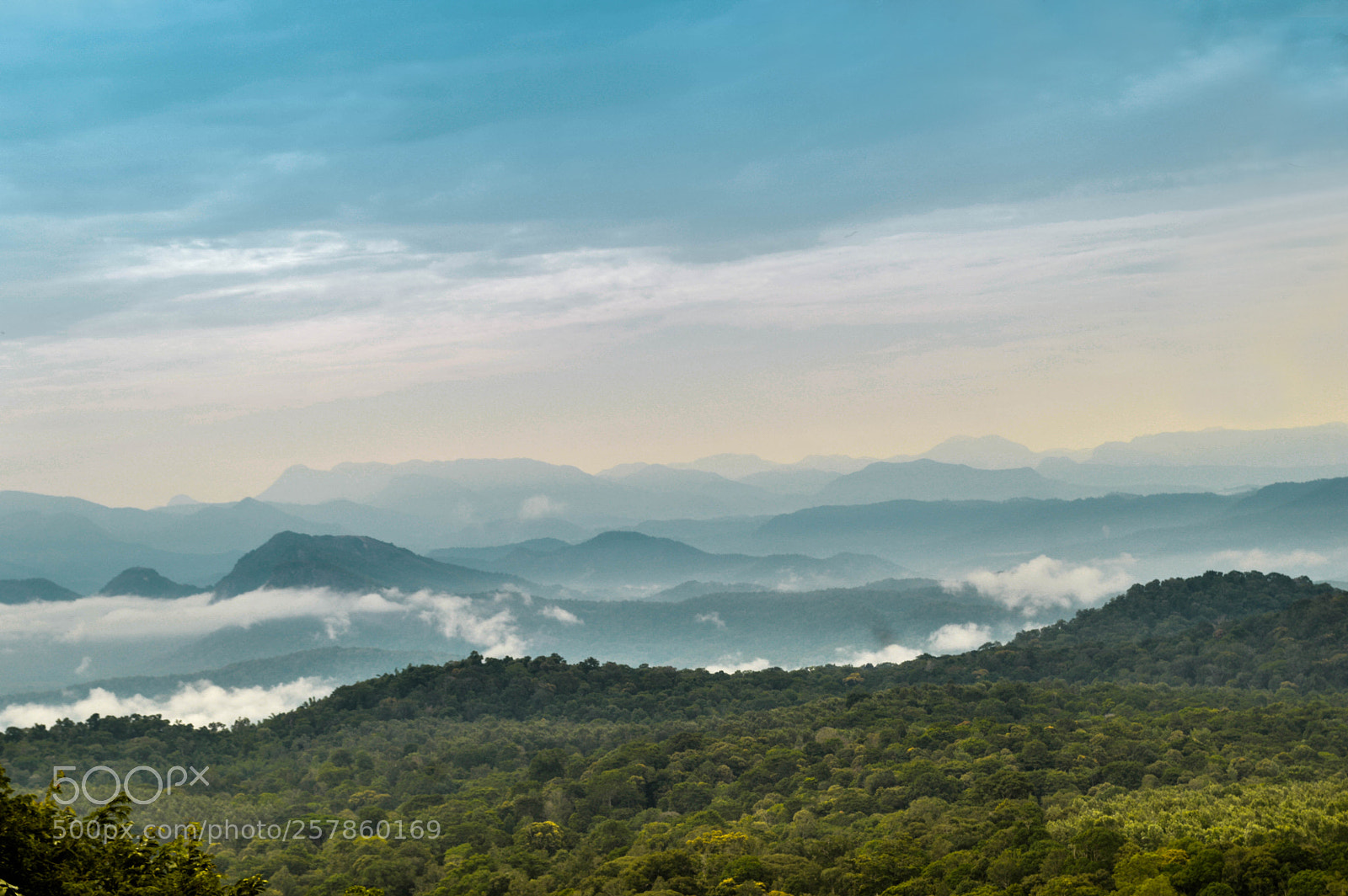 Nikon D3200 sample photo. Parambikulam hills photography