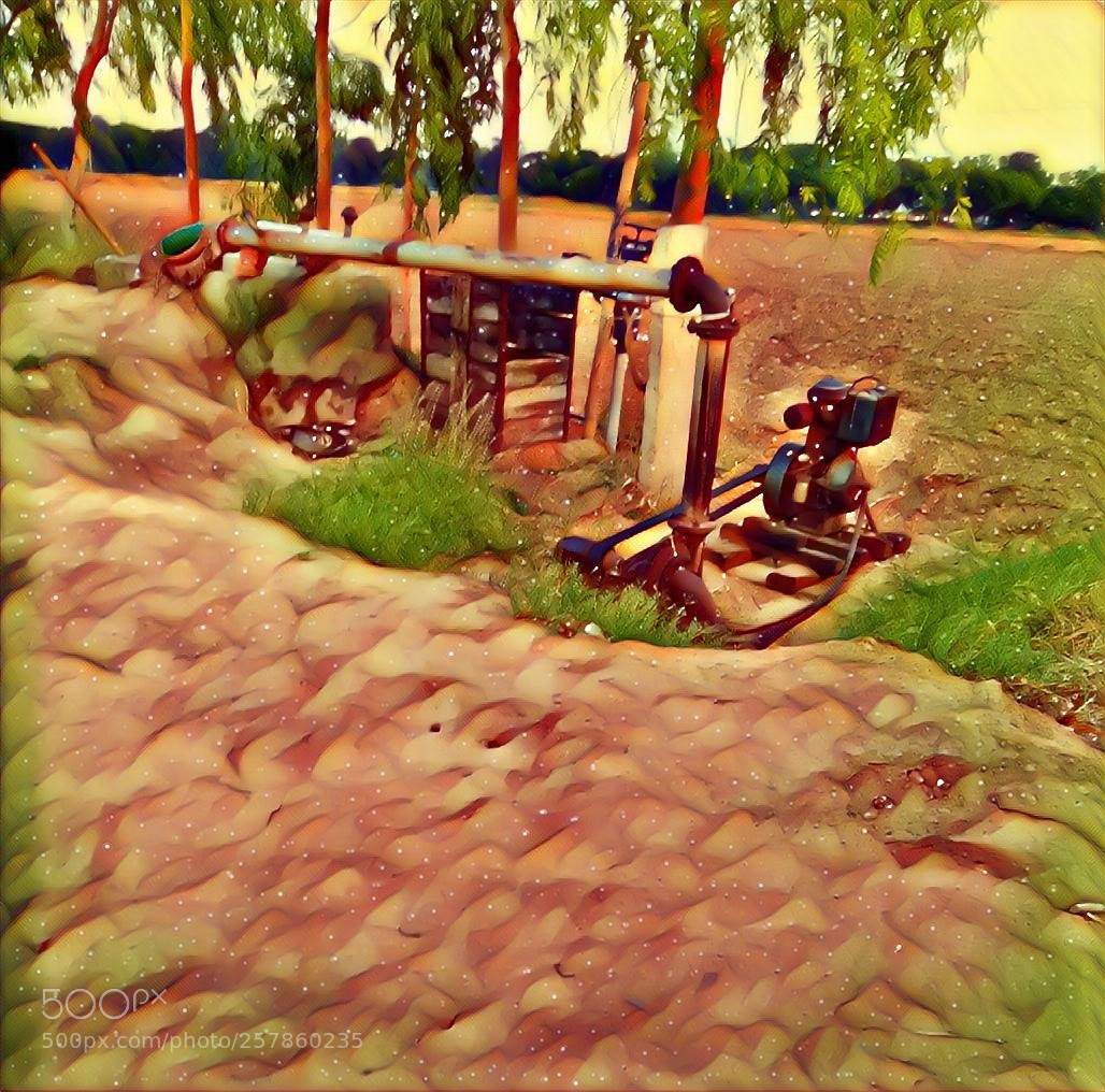 Xiaomi Redmi Note 4 sample photo. Untitled photography