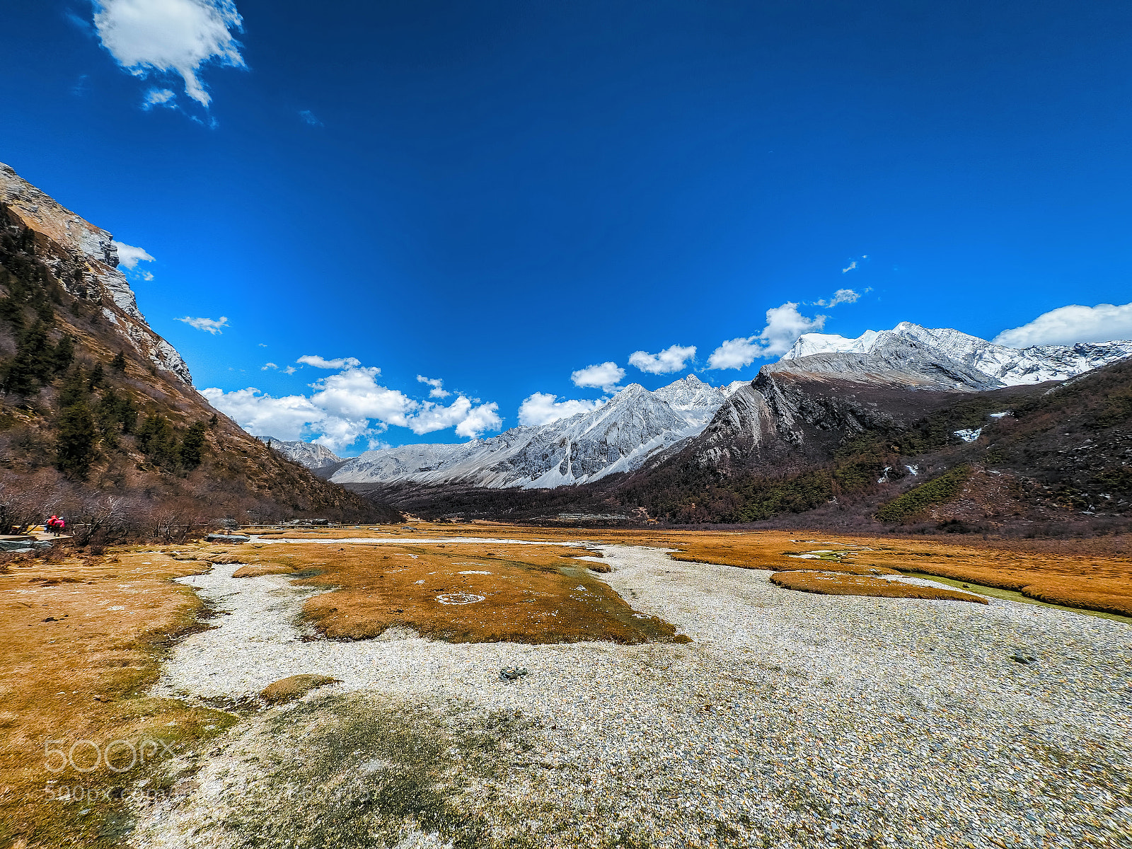 Olympus OM-D E-M1 Mark II sample photo. Yading nature reserve of photography