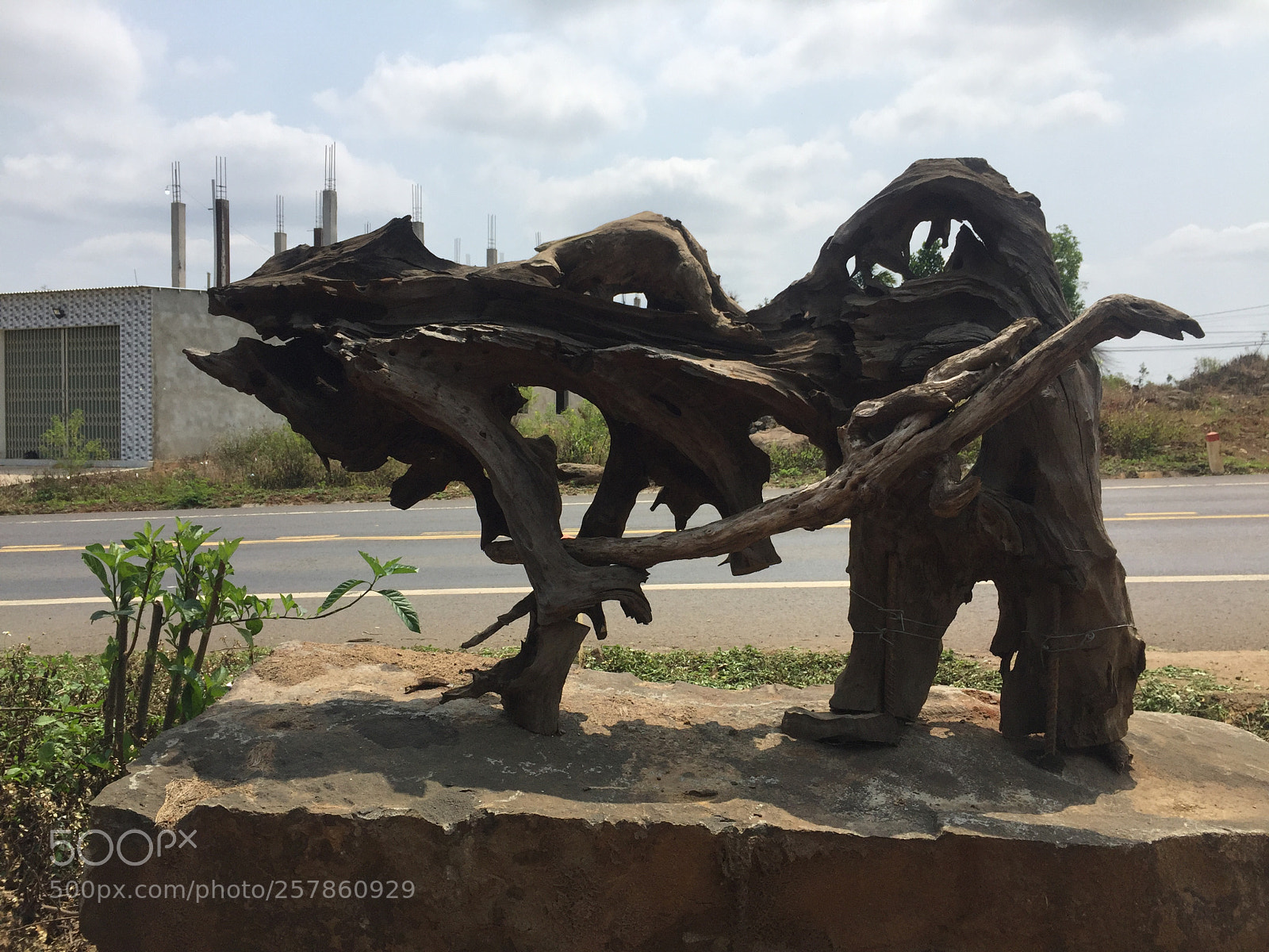 Apple iPhone 6 Plus sample photo. Img photography