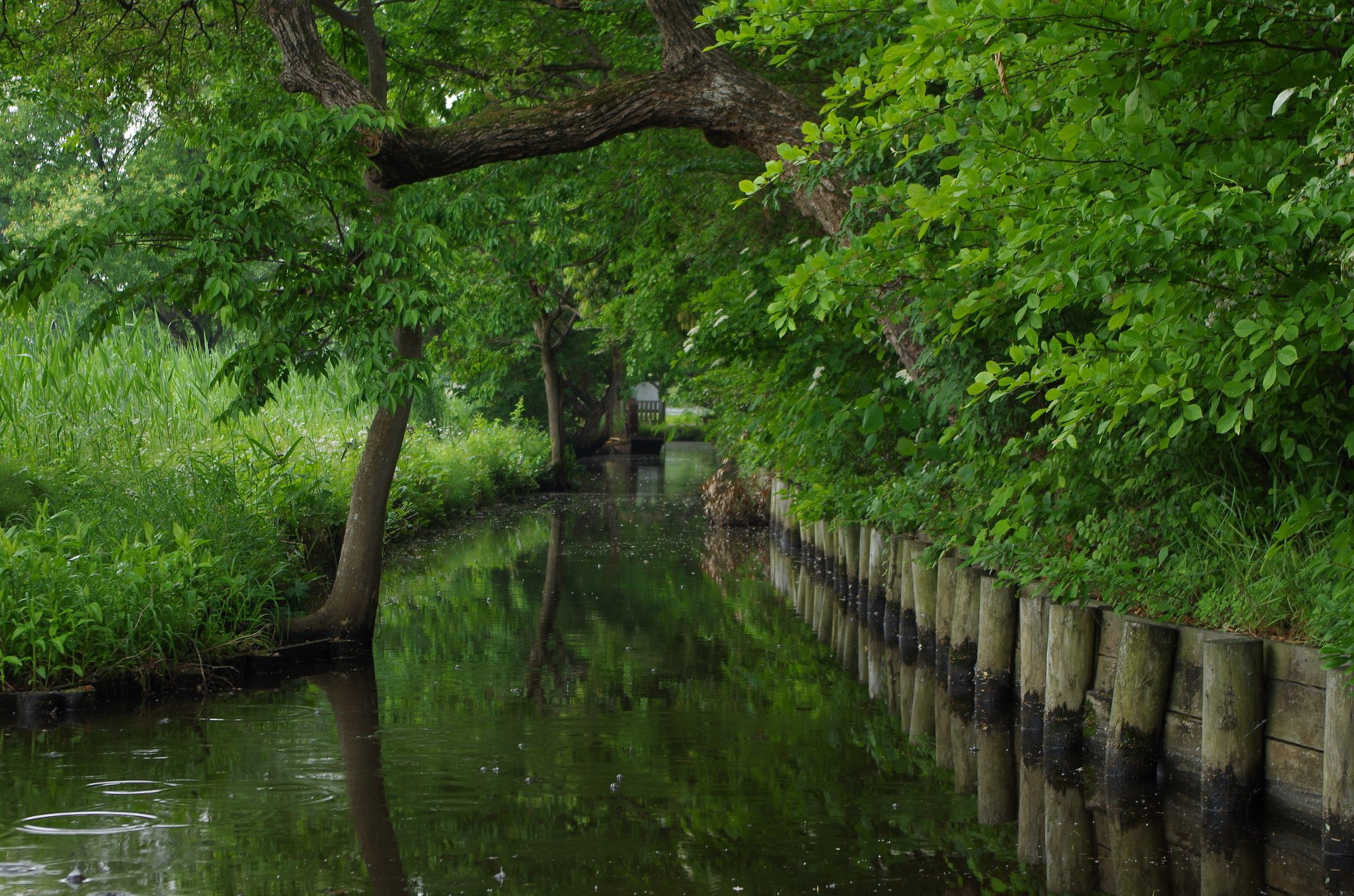 smc PENTAX-DA L 18-55mm F3.5-5.6 sample photo. A quiet time photography