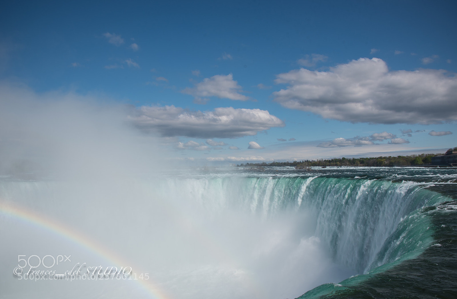Nikon D750 sample photo. Untitled photography