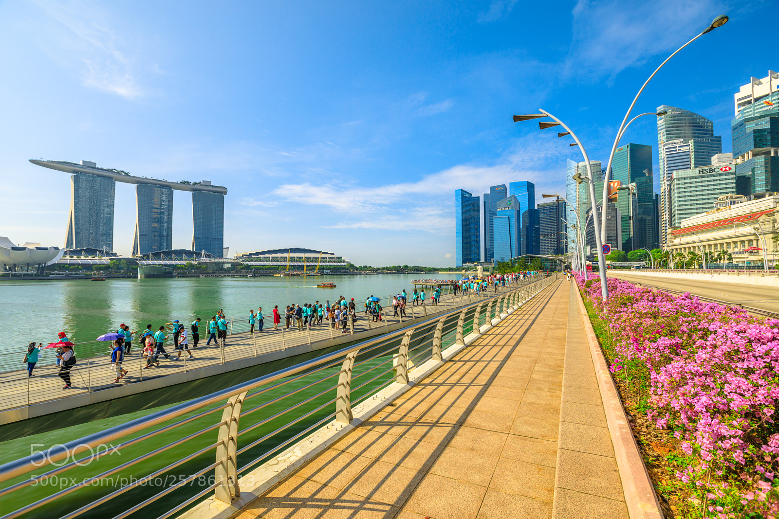 Canon EOS 5D Mark IV sample photo. Esplanade bridge singapore photography