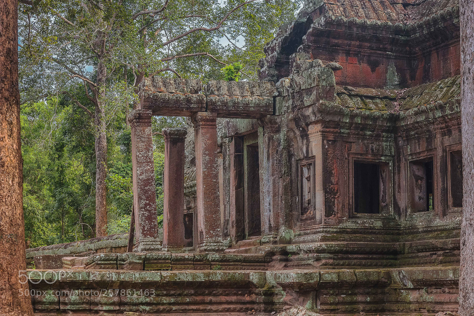 Canon EOS 5D Mark II sample photo. Angkor-nature's invasion photography
