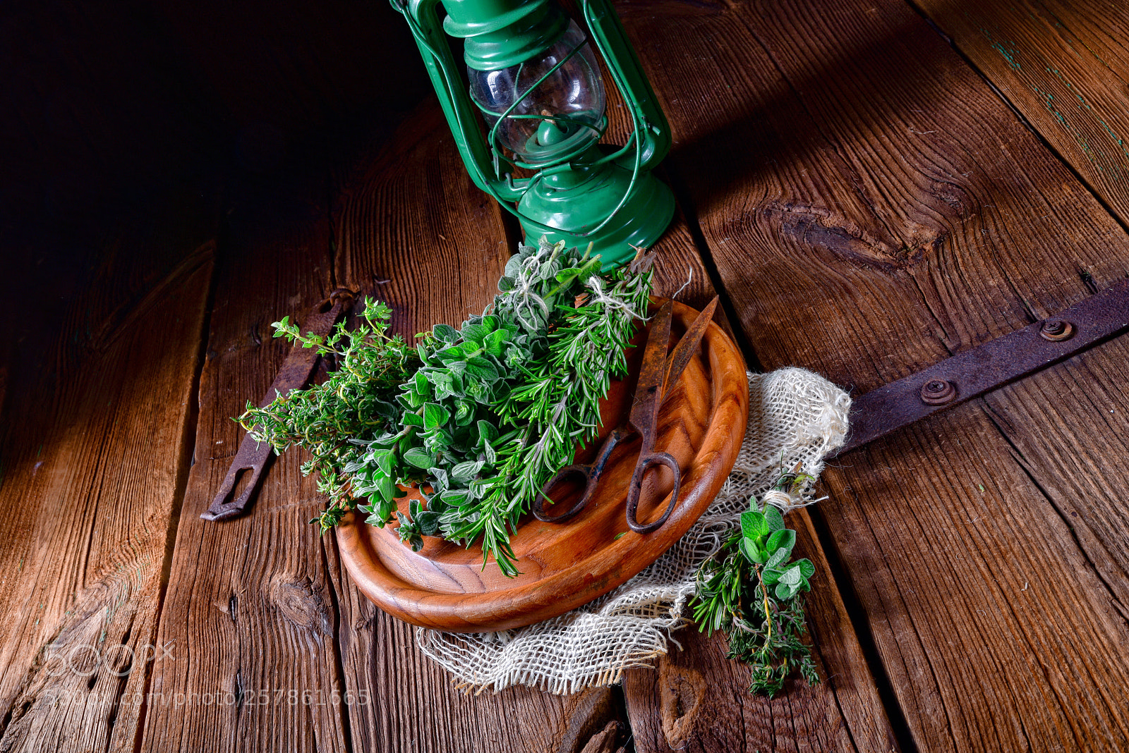Nikon D810 sample photo. Herbal collection of thyme,oregano photography
