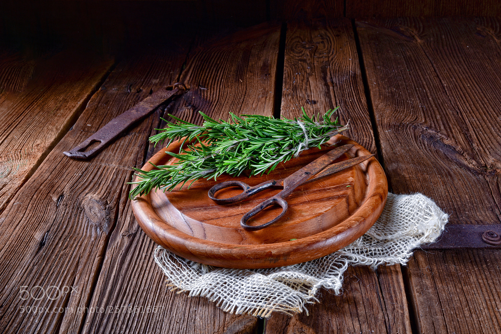 Nikon D810 sample photo. Rosmarin (rosmarinus officinalis) photography