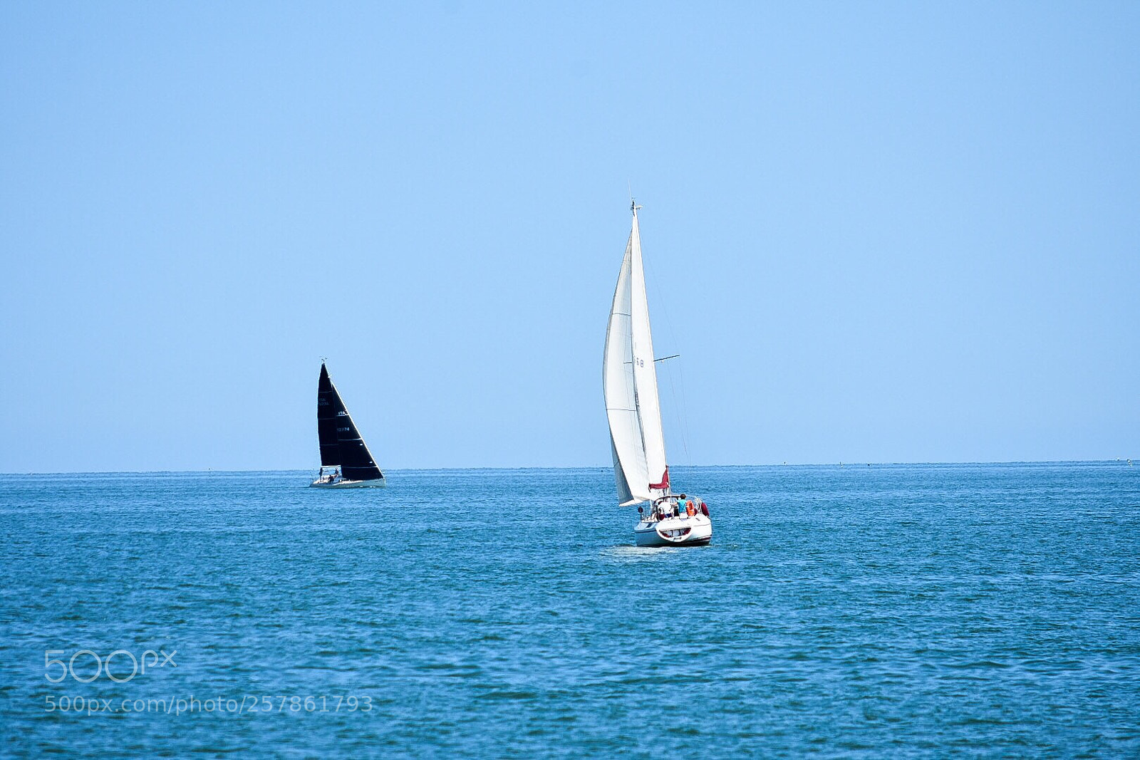 Nikon D7200 sample photo. White, black photography