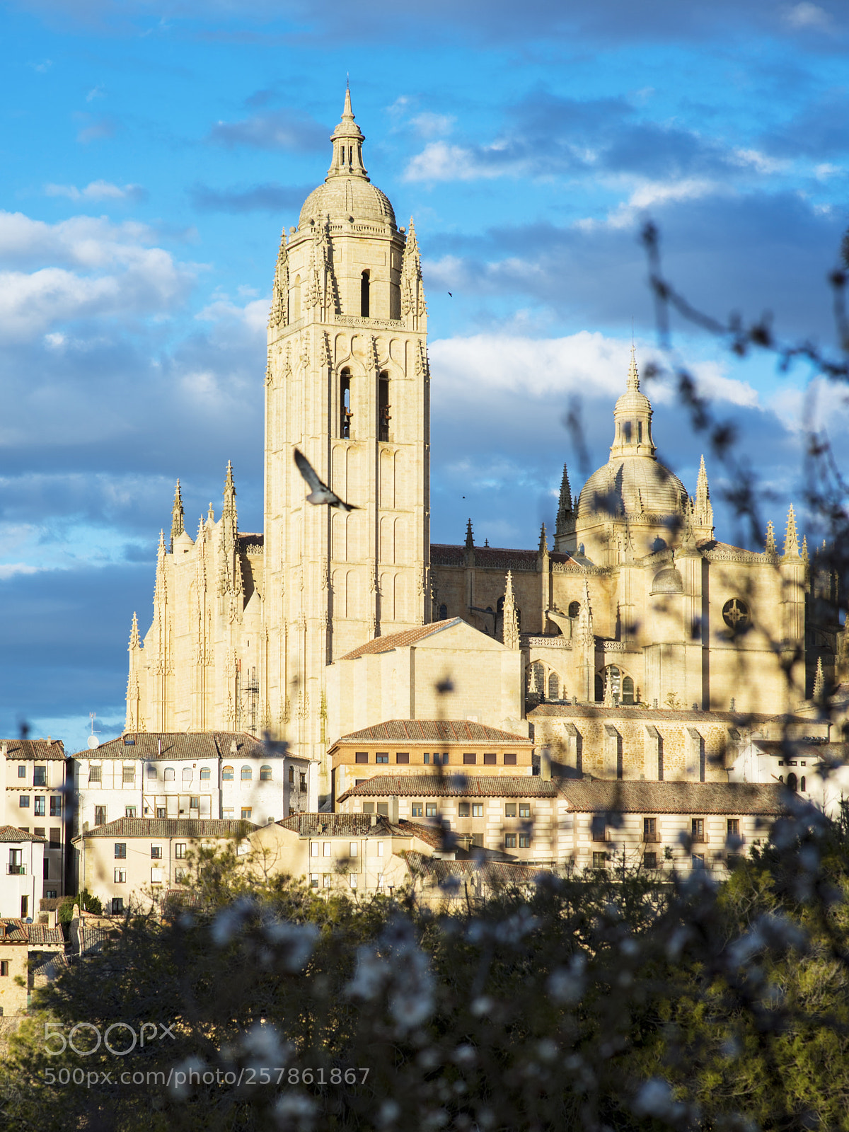 Nikon D800 sample photo. Catedral segovia photography