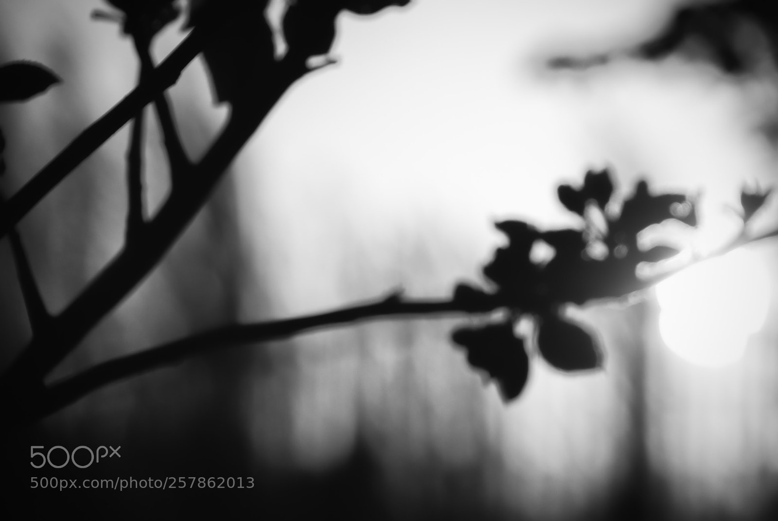 Nikon D60 sample photo. Cold sunset photography