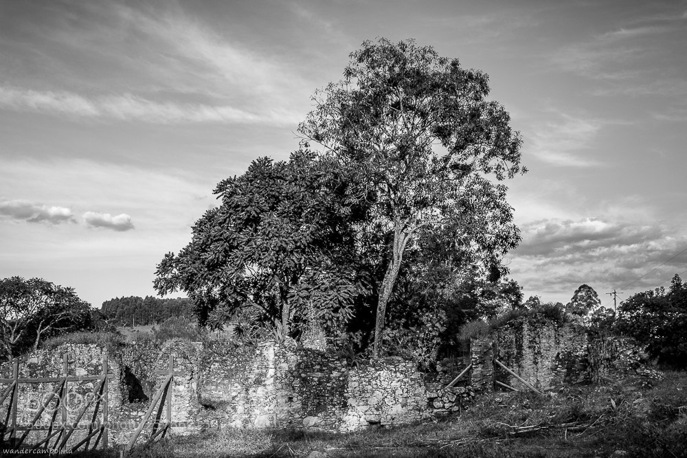 Canon EOS 700D (EOS Rebel T5i / EOS Kiss X7i) sample photo. Old house in ruin photography