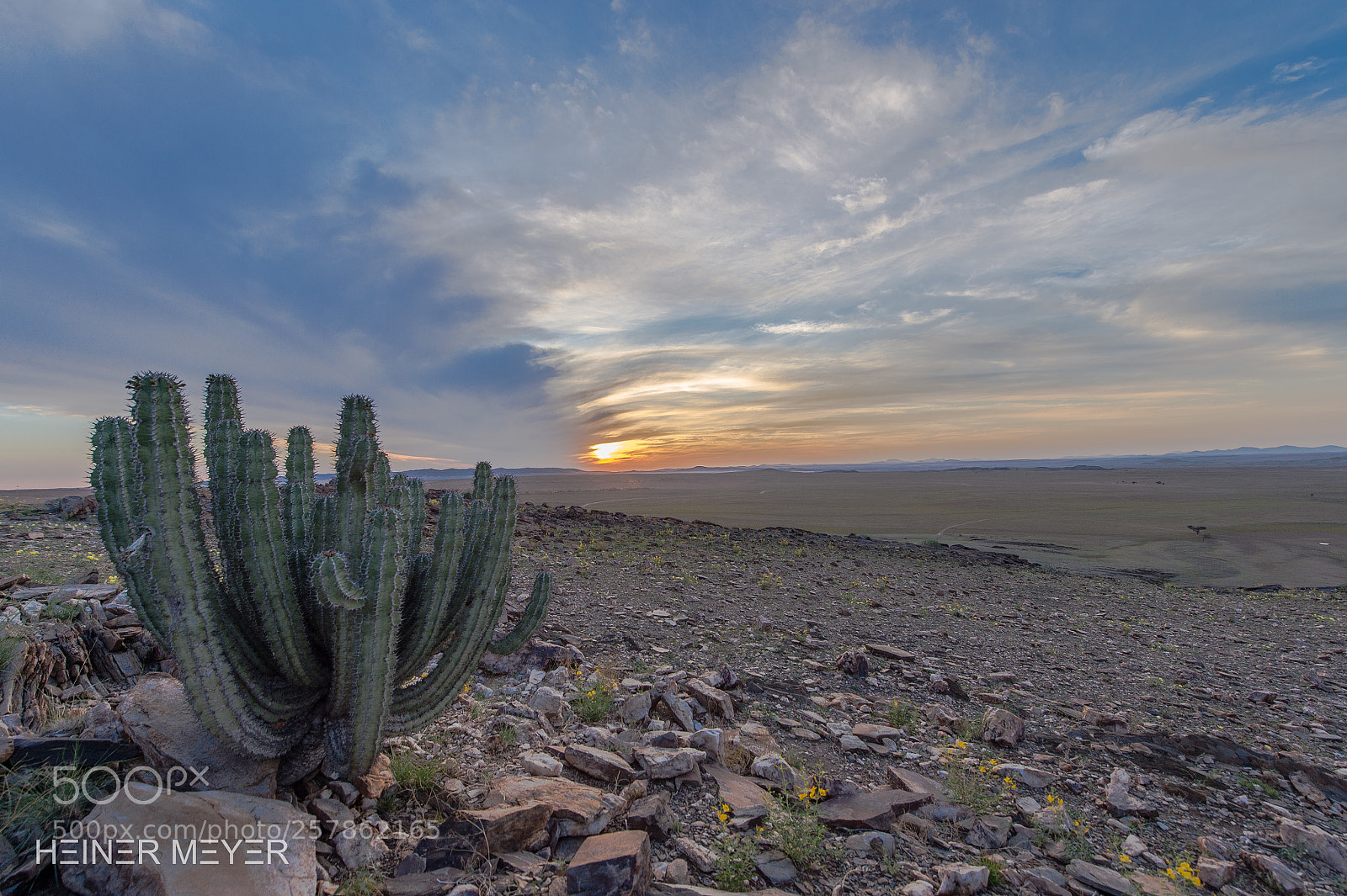 Nikon D4S sample photo. Sunset in namibia photography