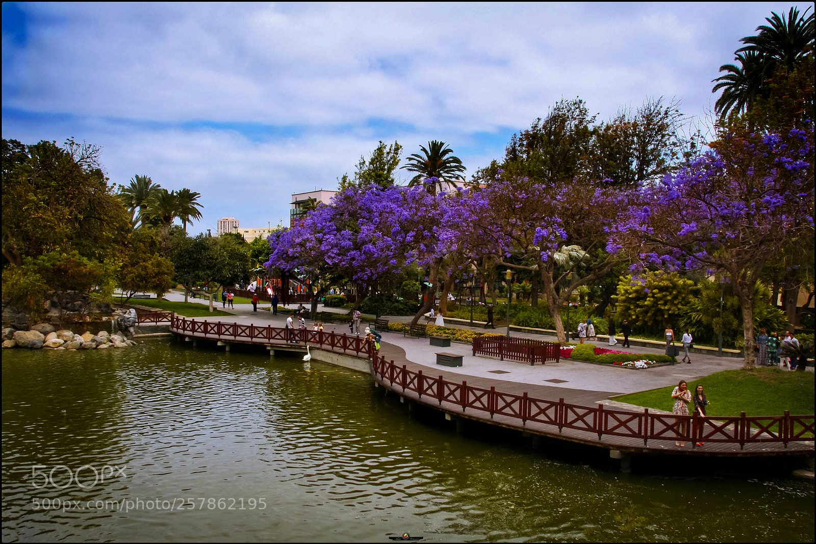 Canon EOS 40D sample photo. Parque doramas photography