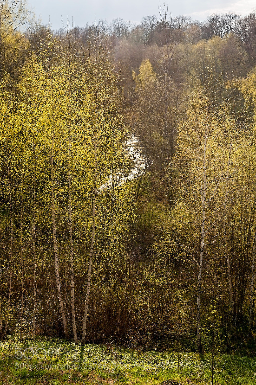 Nikon D300S sample photo. Springtime photography