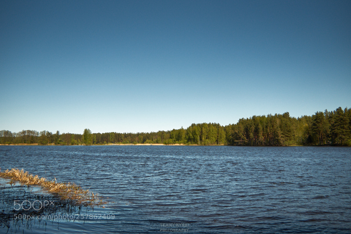 Olympus OM-D E-M1 sample photo. River photography