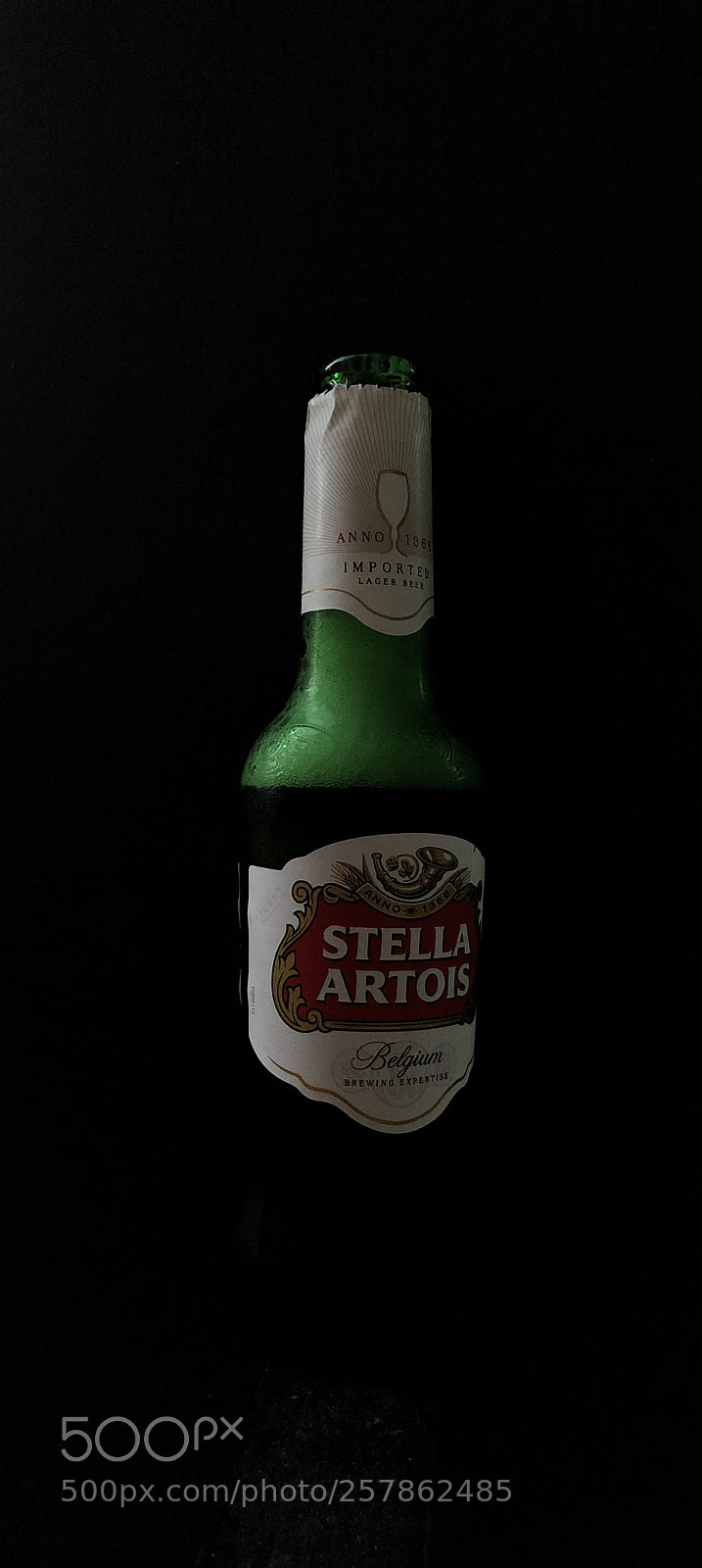 Apple iPhone X sample photo. Untitled photography