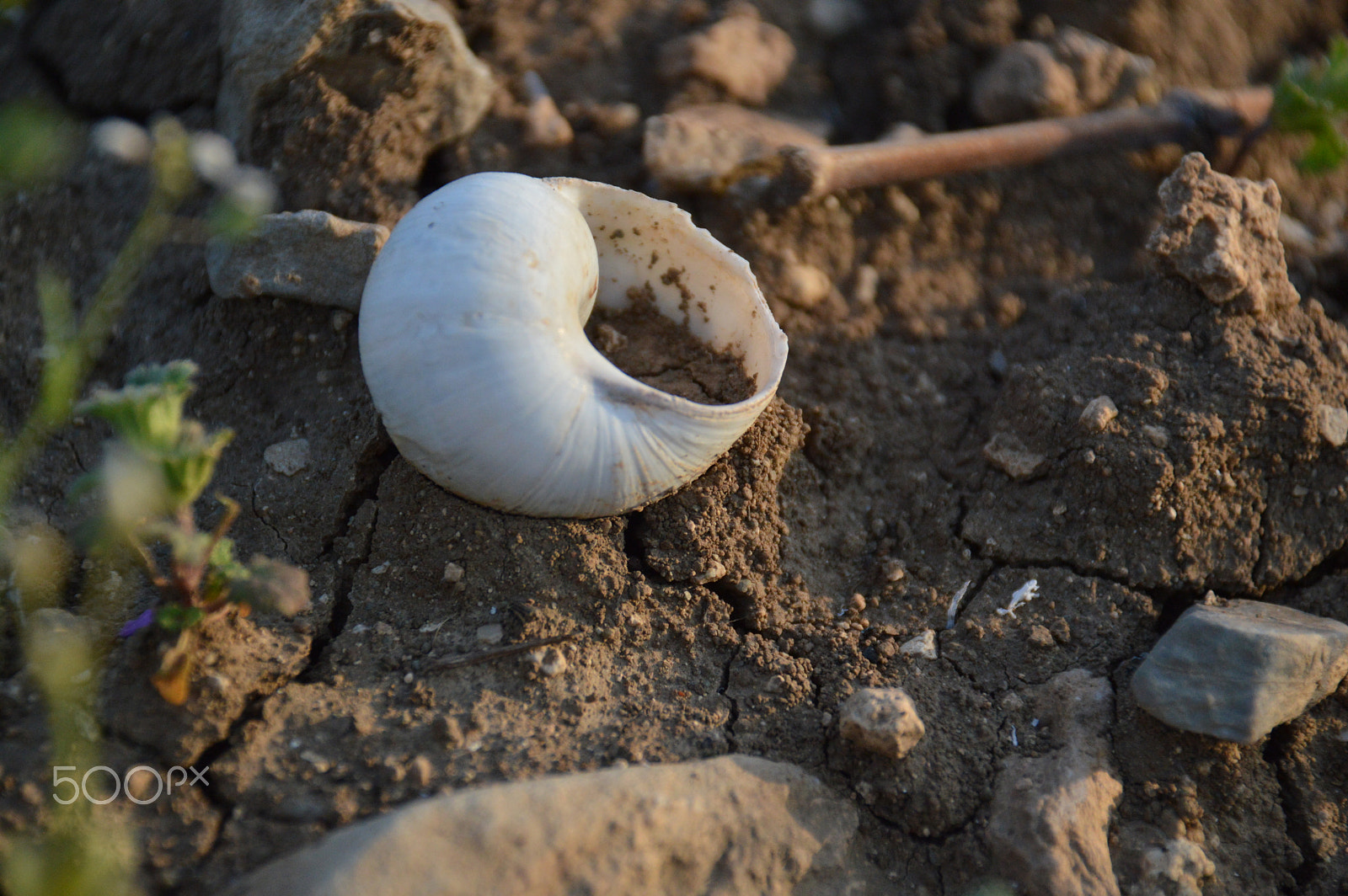 Nikon D3200 sample photo. Nice photo photography